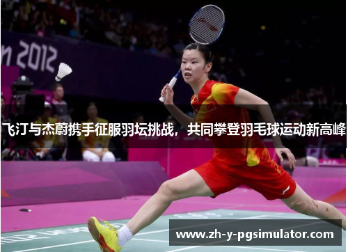 飞汀与杰蔚携手征服羽坛挑战，共同攀登羽毛球运动新高峰