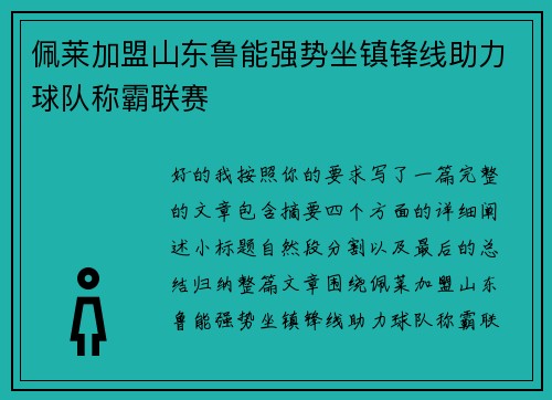 佩莱加盟山东鲁能强势坐镇锋线助力球队称霸联赛 佩莱加盟山东鲁能强势坐镇锋线助力球队称霸联赛