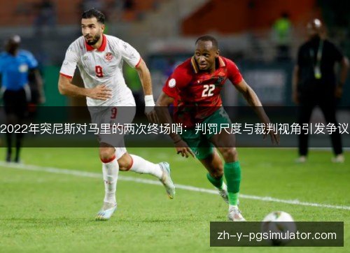 2022年突尼斯对马里的两次终场哨：判罚尺度与裁判视角引发争议